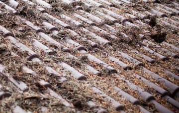 Welborne Common roof cleaning companies