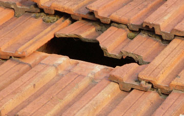 roof repair Welborne Common, Norfolk